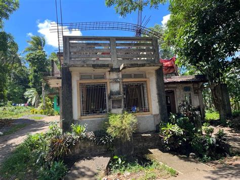 ibalong village taysan legazpi city|Properties For Sale in Bgy. 56 .
